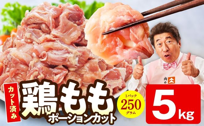 mrz0390-1 【特別規格】国産 鶏もも肉 切身 5kg 【スピード発送 カット済み 氷温熟成×極味付け 小分け 味付き 簡単調理 訳あり サイズ不揃い 鶏肉 とり】