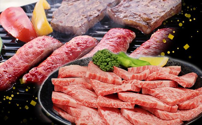 ふるさと納税　飛騨牛 ロース＆カルビ 焼肉 セット  計1kg A5 和牛 牛肉 お肉 ロース カルビ 食べ比べ 焼肉用 バーベキュー BBQ 