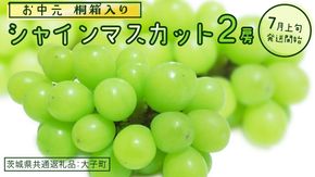【 お中元 桐箱入り】 シャインマスカット ２房 【2026年7月上旬発送開始】(茨城県共通返礼品：大子町) ぶどう 葡萄 マスカット フルーツ 果物 贈答用 ギフト 贈り物
