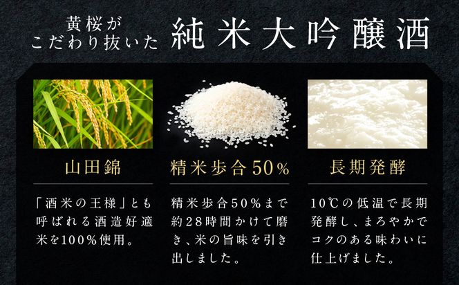 【黄桜】Ｓ純米大吟醸 (180ml×20本)［ キザクラ カッパ 京都 お酒 日本酒  純米大吟醸酒 清酒 地酒 ご当地 特別 日常使い 宅飲み 家飲み 晩酌 人気 おすすめ 定番 ギフト プレゼント 贈答 ご自宅用 お取り寄せ おいしい 送料無料 ふるさと納税 ］ 261009_B-DN79