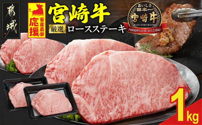 y{茧ssz{Y_Ɖ! {苍[XXe[L4 v1000g_29-N201