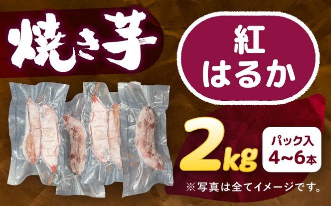 選べる品種/ 焼き芋 紅はるか 2kg (4〜8本) さつまいも 焼きいも おやつ 愛西市 / 就労継続B型事業所ヤシの木[AEDG004]
