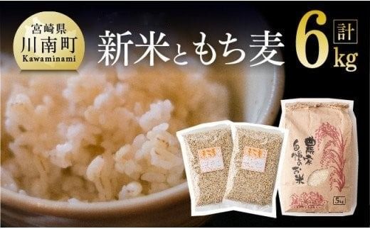 令和7年産 宮崎県産 お米5kg(夏の笑み)&もち麦500g×2袋 [ 宮崎県産 米 こめ 精米 おにぎり もち麦 穀物 ][C05402]