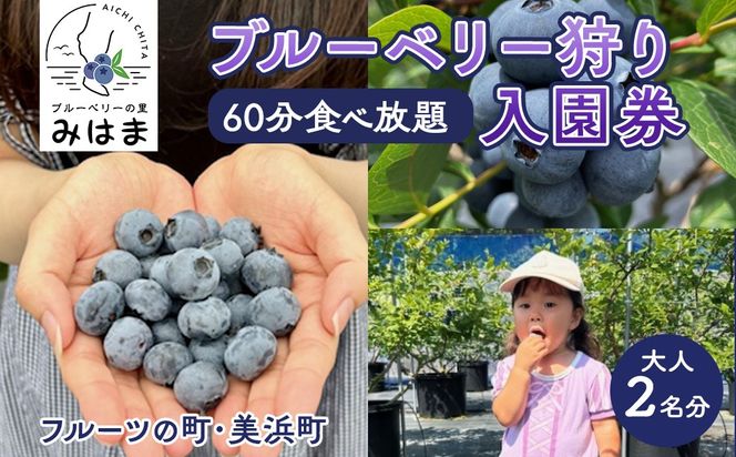 【食べ放題！】ブルーベリー狩り入園券 大人2名分
