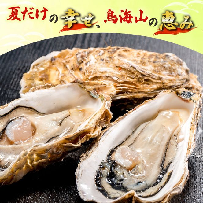 象潟産 天然岩牡蠣 7～8個 ナイフ無【 牡蠣 夏牡蠣 かき 象潟 生食可 魚介類 海鮮 海産物 海の幸 】 佐藤鮮魚店