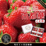 定期便 先行予約 【1・2・3月発送3ヶ月定期便】奈良県特産 高級ブランドいちご「古都華」旬の３ヶ月定期便 // いちご イチゴ 古都華 フルーツ 果物 旬 限定 ブランド 定期便 朝採り 完熟 いちご ことか イチゴ 先行予約 贈答用 ギフト 化粧箱