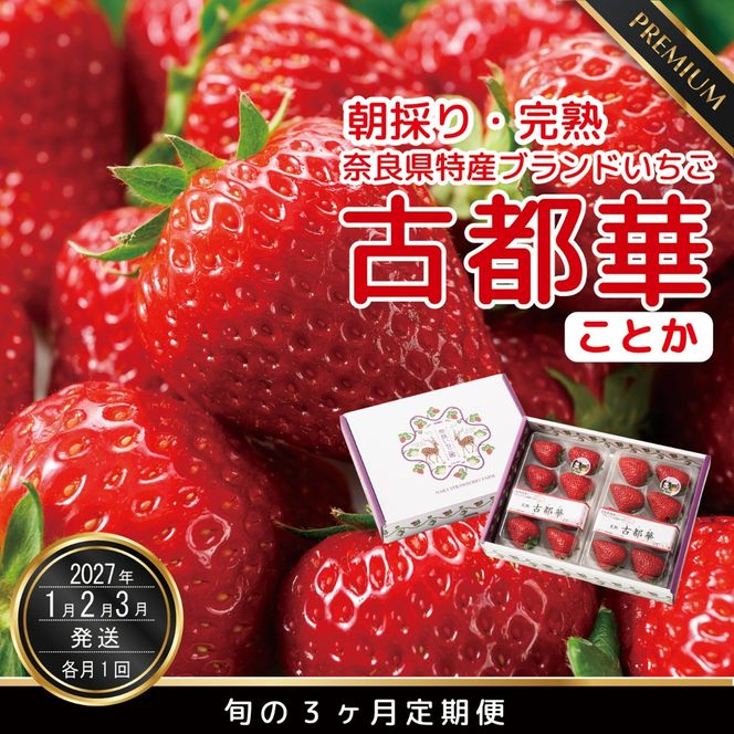 定期便 先行予約 【1・2・3月発送3ヶ月定期便】奈良県特産 高級ブランドいちご「古都華」旬の３ヶ月定期便 // いちご イチゴ 古都華 フルーツ 果物 旬 限定 ブランド 定期便 朝採り 完熟 いちご ことか イチゴ 先行予約 贈答用 ギフト 化粧箱