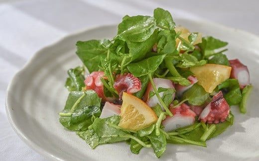 はぜのクレソンと里山の恵みセット　各シーズン11月～4月発送　３月末締め切り【000228】