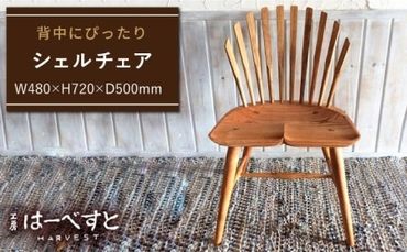 シェル チェア [糸島] [工房はーべすと]木工家具 クラフト 作家 ダイニング イス 椅子 チェア インテリア 