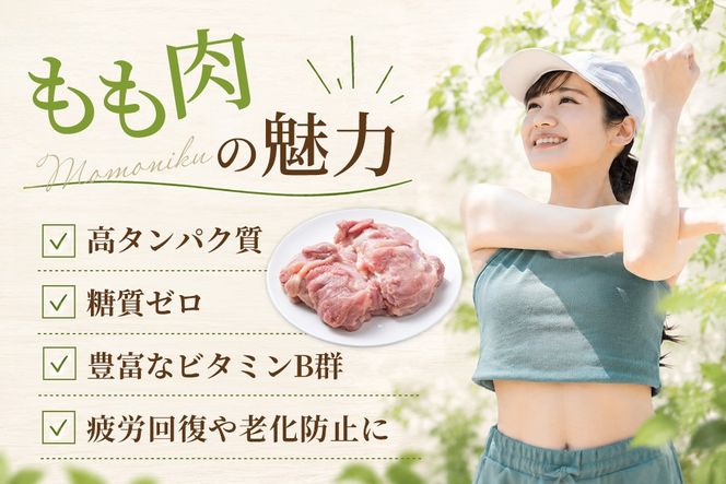 佐賀県ブランド鶏 ありたどり もも肉 1.2kg(300g×4袋)【真空個包装 使いたい分だけ解凍 から揚げ ステーキ 煮物 サラダ ジューシー 歯ごたえ】(H122161)