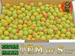 ［梅干・梅酒用］小粒（SまたはM－3Kg）熟南高梅＜2026年6月下旬～7月中旬発送予定＞フルーツ 果物 くだもの 食品 人気 おすすめ 送料無料［ART20］ 303446_XL25