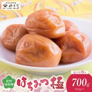 紀州南高梅はちみつ極塩分約6％（700ｇ）_YD1006