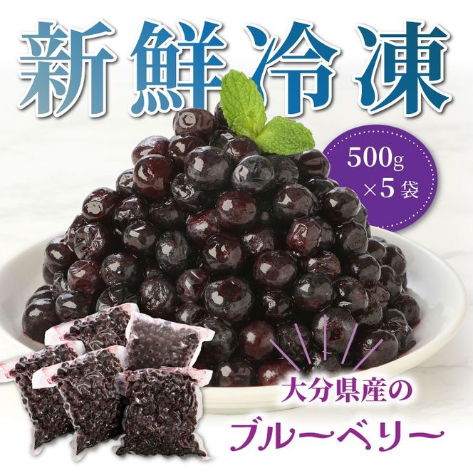 【ご家庭用】冷凍ブルーベリー2.5kg（大分県産）_1894R