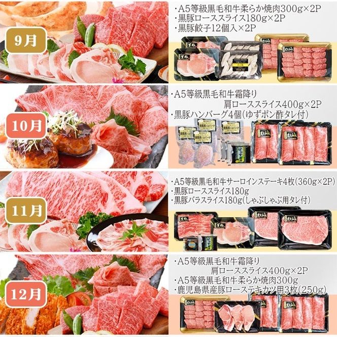 お肉の定期便(12回)枕崎お楽しみ便(A5等級黒毛和牛・黒豚・黒豚加工品etc) KK-6003 【1166746】