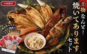 干物 なんと！焼いてありますセット【惣菜 魚 干物 ひもの お取り寄せ 御中元 お中元 お歳暮 父の日 母の日 贈り物 家庭用 自宅用 贈答品 贈答用 ギフト 定番 朝食 朝ごはん 神奈川県 小田原市 】● 142069_AC001