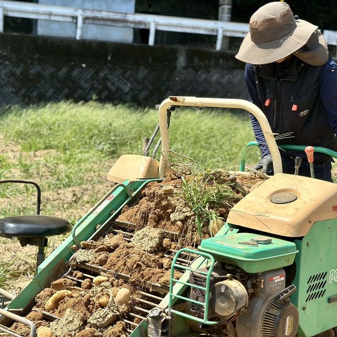 じゃがいも10kg（メークイン）