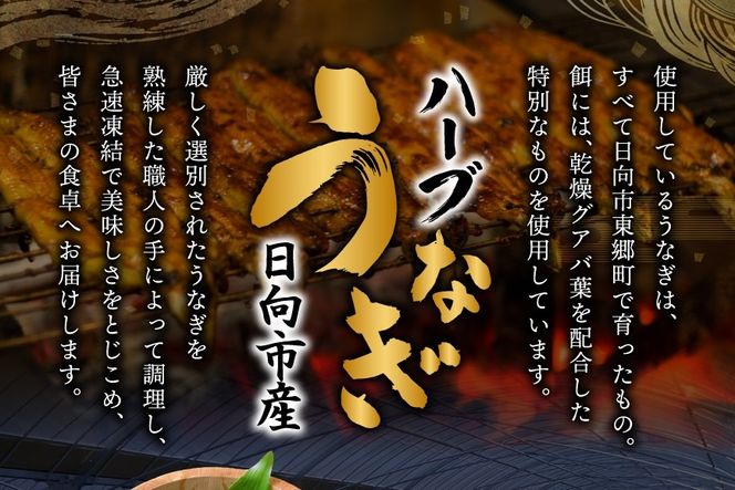 うなぎ 国産 ハーブ 鰻 3〜5尾 計500g 以上 [鰻楽 宮崎県 日向市 452061755] ふるさと納税 3尾 4尾 5尾 ウナギ 蒲焼 ハーブうなぎ 冷凍うなぎ ウナギ 化粧箱 鰻楽 宮崎県産 炭火焼き 九州 たれ タレ 山椒 タレ付き 小分け ◇