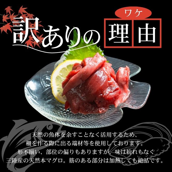 【スピード発送】 数量限定 天然本まぐろ 切り落とし 500g(100g×5) 訳あり まぐろ 刺身 さしみ 刺し身 鮮魚 まぐろ赤身 鮪 魚介 魚 マグロ 漬け ユッケ 海鮮丼 国産 天然まぐろ 高級 天然 人気 寿司 本鮪 お正月 年末 冷凍 三陸 大船渡 岩手 冊 ギフト ごちそう