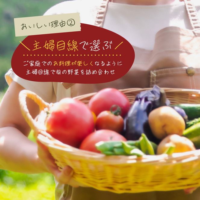 【定期便】淡路島の旬の野菜セット　１年コース（月１回×１２回）　野菜詰め合わせ