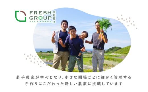 【定期便】彩り野菜と香るハーブセット　３回お届けセット　[野菜セット 野菜詰め合わせ]