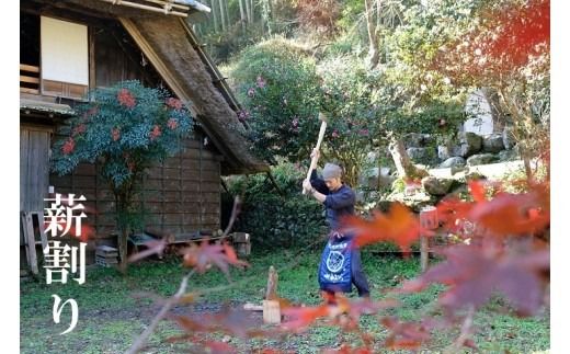 半日体験プラン