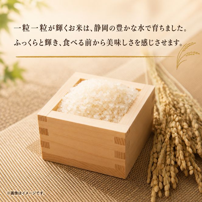 米 静岡きぬむすめ 10kg（5kg×2） お米 白米 コメ 精米 きぬむすめ 静岡県産 袋井市 静岡県