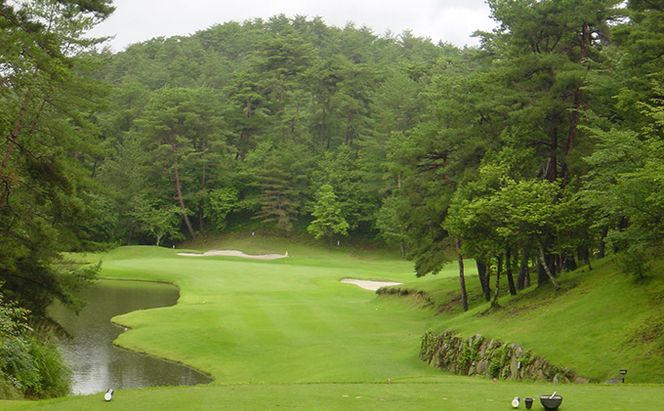 パインツリーゴルフクラブ 1名様土日祝日プレー無料優待券（昼食付） ゴルフ場 利用券 優待チケット 丘陵 林間 コース 松林 自然 戦略的 スポーツ 趣味 ビジネス 社会人 