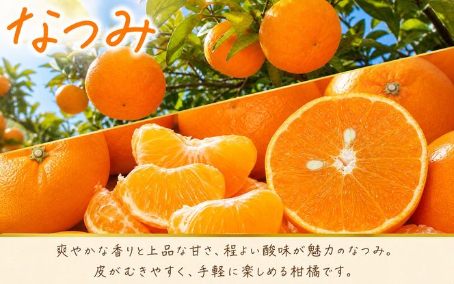 【全3回】紀州和歌山産旬のフルーツ定期便 (田村みかん・いちご・なつみ) 【tkb374】