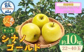 【先行予約丨2026年10月下旬より順次発送】訳あり シナノゴールド【約10kg(22〜40玉)】(At-025)