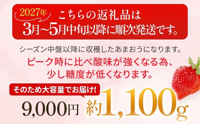 あまおう 約1100g（約275g×4パック） 【先行受付／2027年3月～5月中旬順次発送予定】いちご 苺 福岡高級 フルーツ お取り寄せ ご当地グルメ 福岡土産 取り寄せ グルメ 福岡県 食品 社会福祉法人 猪位金福祉会