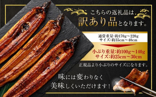 【数量限定】 【訳あり】 【ミシュラン星付きのプロが愛用】海水育ちの 天草 藍うなぎ 小ぶり 蒲焼 1kg（7～10尾）  養殖期間中 無投薬 鰻 ウナギ うなぎ うなぎ蒲焼 鰻の蒲焼 国産