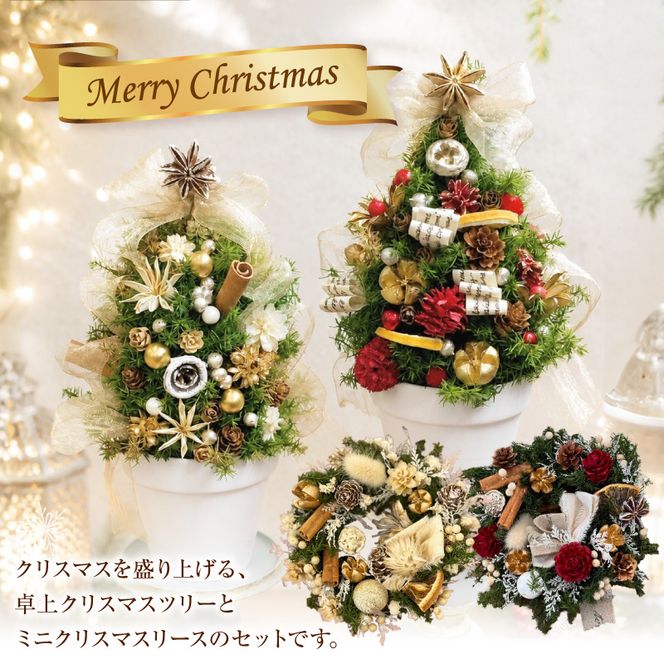 クリスマスツリーとクリスマスリース セット クリスマスツリー クリスマスリース セット 選べる カラー レッド ホワイト 卓上クリスマスツリー ミニクリスマスリース プリザーブド  クリスマス インテリア クリスマス雑貨 ミニサイズ  プリザーブドフラワー 愛知県 小牧市 送料無料 ［133O19-SKU］ 