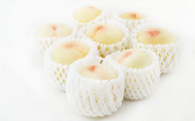 フルーツ 2026年 先行予約 晴れの国 岡山 の フルーツ 定期便 2回コース 桃 ぶどう 岡山県産 国産 フルーツ 果物 ギフト デザート 白桃 シャインマスカット 高級ぶどう 