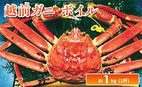 越前ガニ ボイル 約1kg ズワイガニ かに 海鮮 海産物 海の幸 魚介 魚介類 越前かに 越前カニ 越前がに ずわいがに ずわい蟹 カニ 蟹 ボイルガニ 冷蔵 冷蔵配送 福井県 福井 若狭町 若狭
