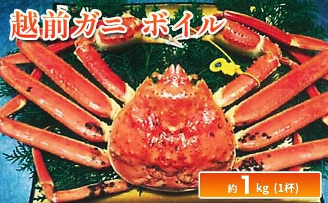 越前ガニ ボイル 約1kg ズワイガニ かに 海鮮 海産物 海の幸 魚介 魚介類 越前かに 越前カニ 越前がに ずわいがに ずわい蟹 カニ 蟹 ボイルガニ 冷蔵 冷蔵配送 福井県 福井 若狭町 若狭