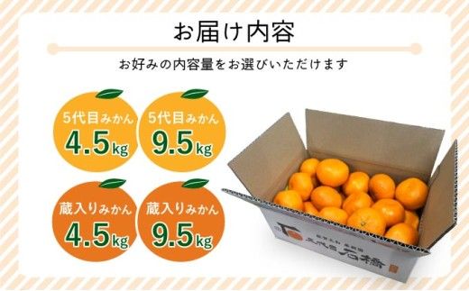 【期間限定】 ＜選べる種類と内容量＞さがみかん （5代目みかん or 蔵入りみかん) (4.5kg or 9.5kg）【温州みかん 甘い 濃厚 ジューシー コク 完熟 熟成みかん 蔵出し 蔵入り 柑橘 密柑 ギフト 果物 フルーツ 佐賀県産 佐賀県 大和 太良 石橋果樹園 人気】