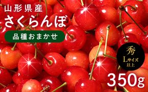 FYN6-254 ≪2026年先行予約≫山形県産 さくらんぼ 品種おまかせ(佐藤錦・紅秀峰など) 350g 秀/L以上 バラパック詰め 2026年6月中旬頃より発送 果物 くだもの フルーツ 夏果実 サクランボ チェリー 桜桃 高級 化粧箱 ギフト箱 贈り物 贈答 ギフト プレゼント 自宅 家庭 産地直送 山形県 西川町 月山