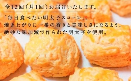 【全12回定期便】明太 チーズ スコーン 12個 セット 糸島市 / スコーン専門店キナフク 焼き菓子 焼菓子 洋菓子 スイーツ パン [AFA023]