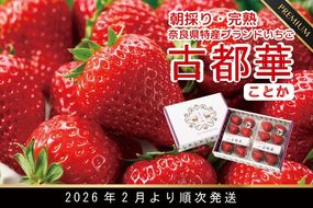 朝採り 完熟 2月より順次発送奈良県特産 朝採り高級ブランドいちご「古都華」 // いちご イチゴ 古都華 フルーツ 果物 旬 限定  ブランド 朝採り 完熟 いちご ことか イチゴ 先行予約 古都華 数量限定 古都華 甘い 先行受付 予約 贈答用 ギフト 化粧箱