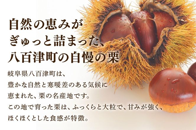 栗松利 (くりまつり) 栗ぃむ大福 栗きんとん モンブラン 437