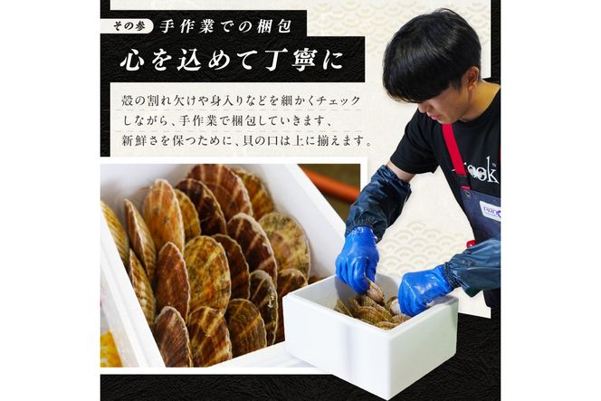 【予約：2026年3月下旬から順次発送】北海道オホーツク産 漁師直送 殻付きプレミアムホタテ 3.5kg ( 魚介 海鮮 貝 ホタテ ほたて 帆立 生食 炙り焼き バター焼き )【197-0001-2026】