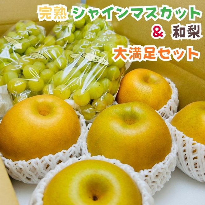 ya̎RLc쒬zms\E2026Nn̂ꊮnVC}XJbgƘa 喞Zbg 4kg  AO070