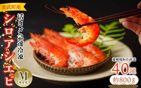 【養殖場から直送】活き〆急速冷凍 金武町産 シロアシエビ Mサイズ （バナメイエビ） 海老 海鮮 魚介類 海産物 シーフード ギフト 美味 料理 国産えび エビフライ 寿司 海鮮 刺身 フリット フレンチ 特別な 養殖 人気 産地直送 送料無料