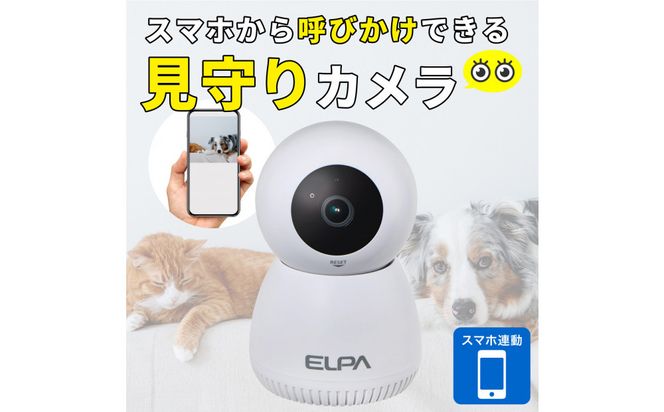 屋内用カメラ　TBC-IP300 272183_AZ176