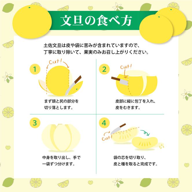 【訳あり】土佐文旦（ぶんたん）家庭用（M～５Ｌ）約１０ｋｇ  約10～30玉