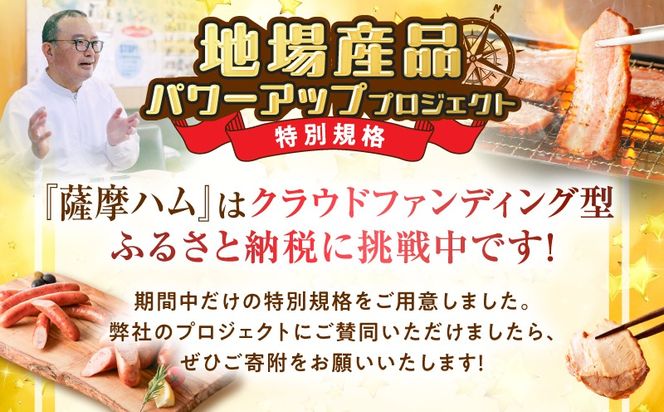 【全7回】盛りだくさん定期便（毎月お届け）　K161-T07m