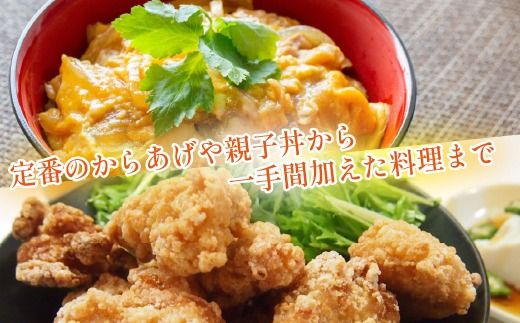 宮崎県産若鶏むね肉カット 3kg（300g×10P）国産 鶏肉 若鶏 モモ カット済み 小分け 唐揚げ 大容量 冷凍