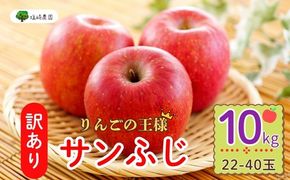 【先行予約】 【訳あり】サンふじ 約10kg (22〜40玉）（2025年12月中旬から発送） (7-A39-3) 長野県 飯山市 おすすめ ランキング おいしい 高評価 大人気 りんご