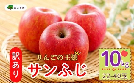 【先行予約】 【訳あり】サンふじ 約10kg (22〜40玉）（2025年12月中旬から発送） (7-A39-3) 長野県 飯山市 おすすめ ランキング おいしい 高評価 大人気 りんご
