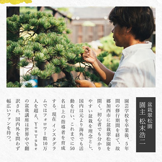 盆栽 翠松園 商品クーポン券 300,000円分 植物 観葉植物 園芸 商品券 兵庫県